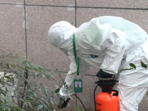 日照蟲害防治客戶案例